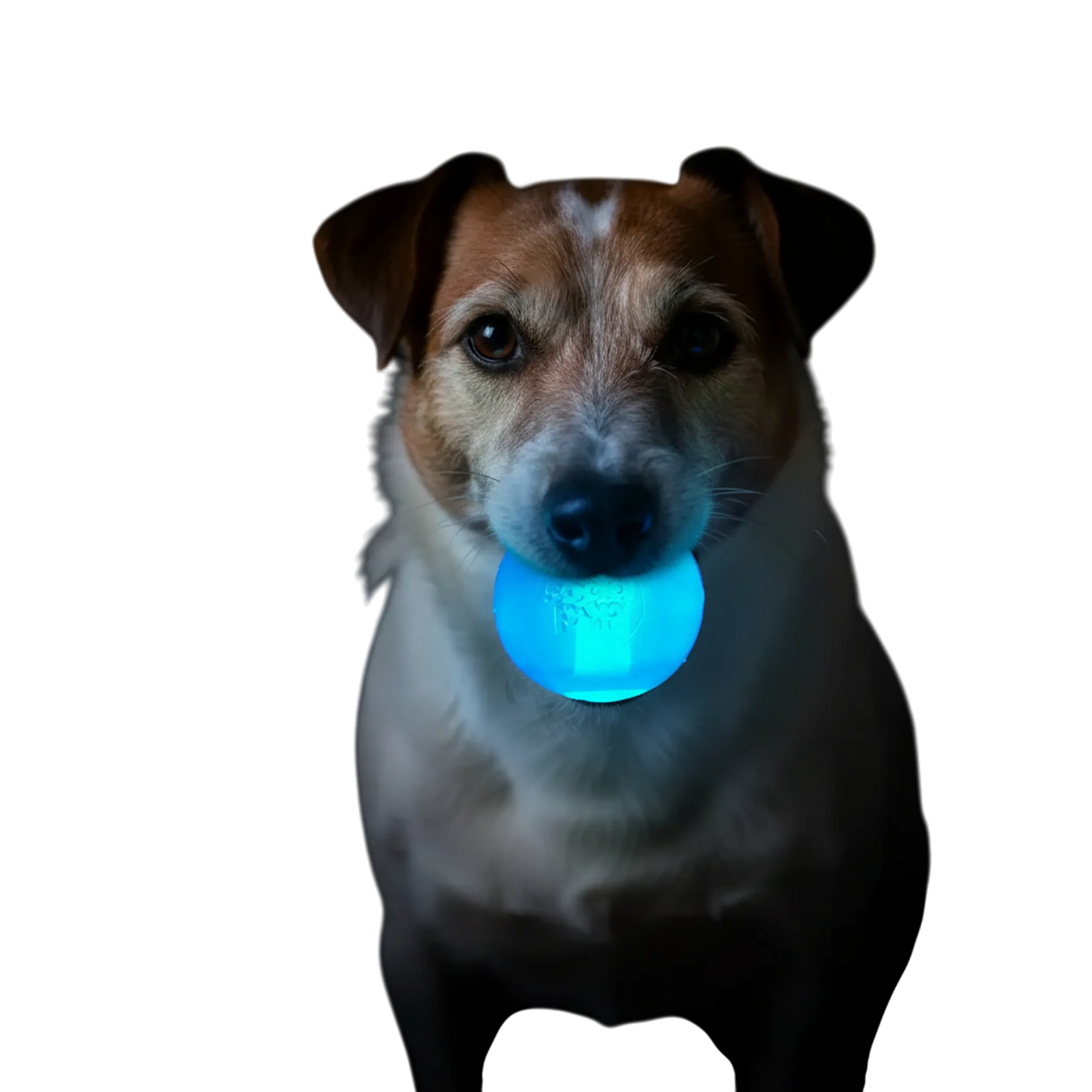 Strobe Ball Light-Up Dog Toy - Durable Floating Chew Ball