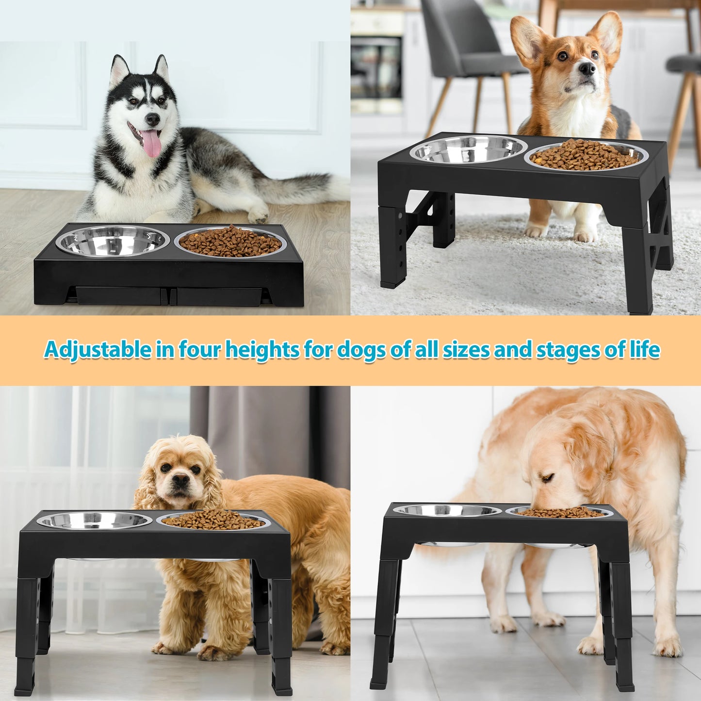 Elevated Dog Feeding Station With Adjustable Heights Stainless Steel Bowls