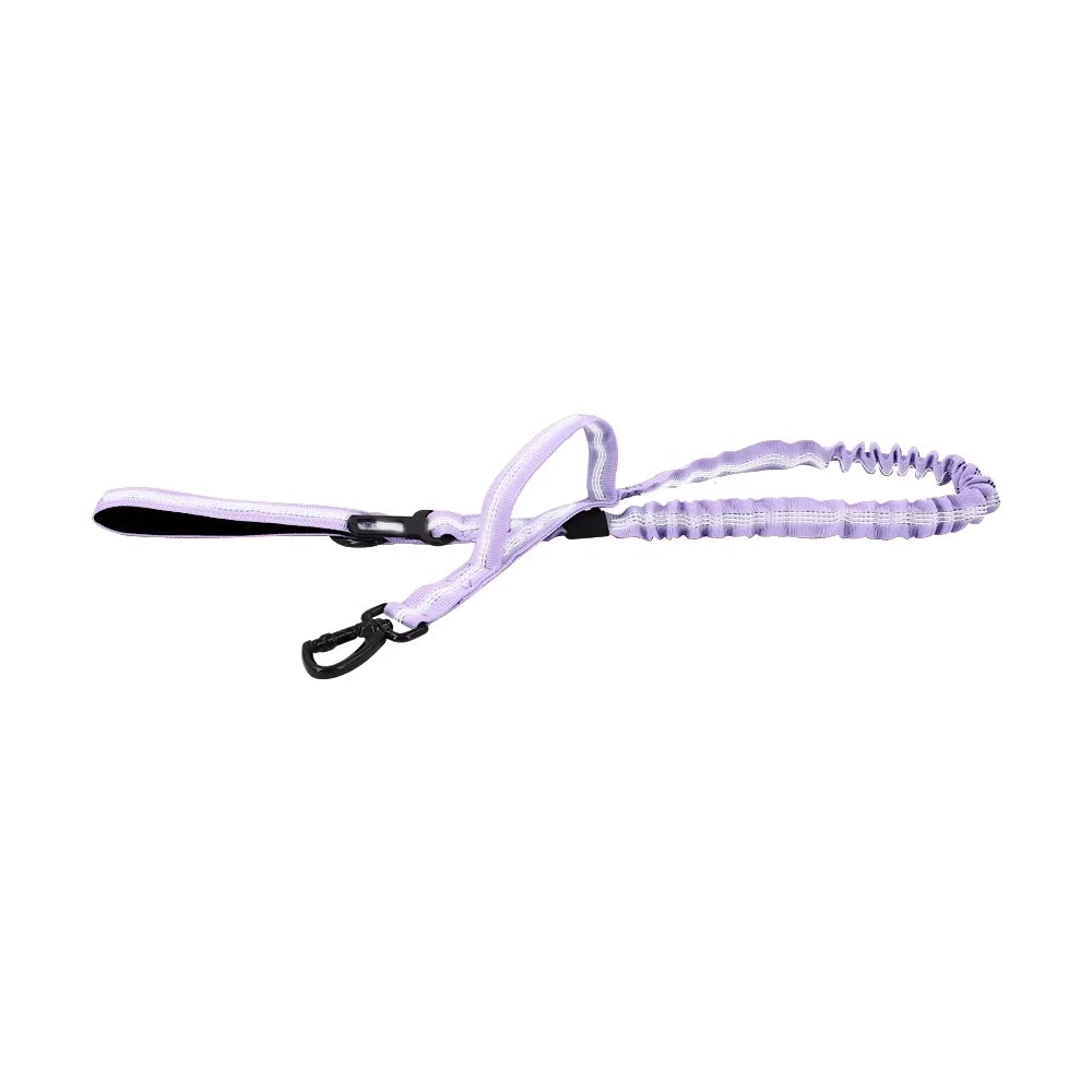 Dog Leash With Adjustable Elastic Rope And Dual Handles