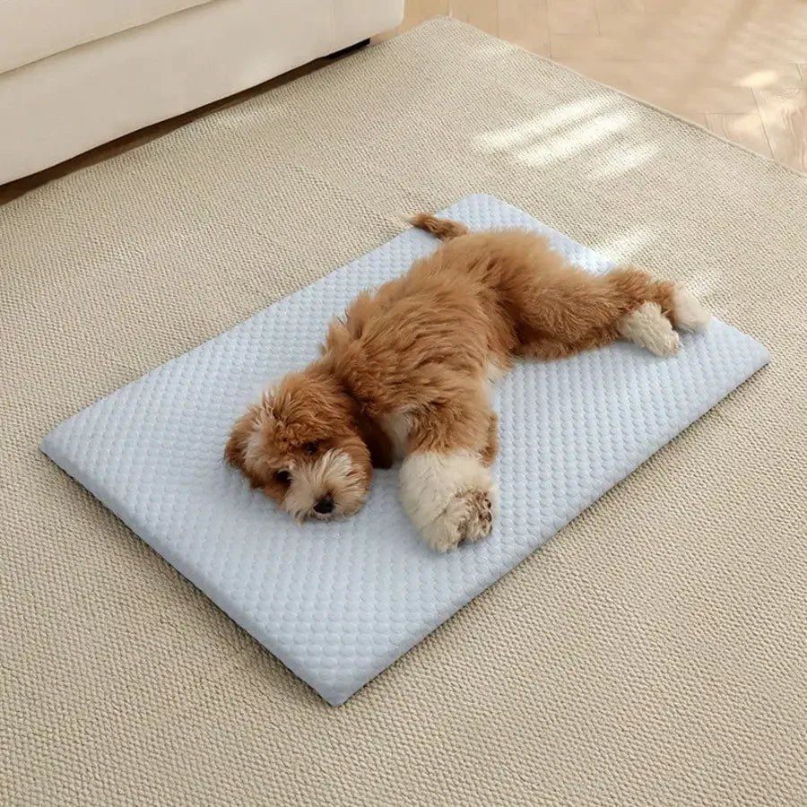 Cooling Cotton Cat Bed With Thick Padding Breathable Non Slip Washable