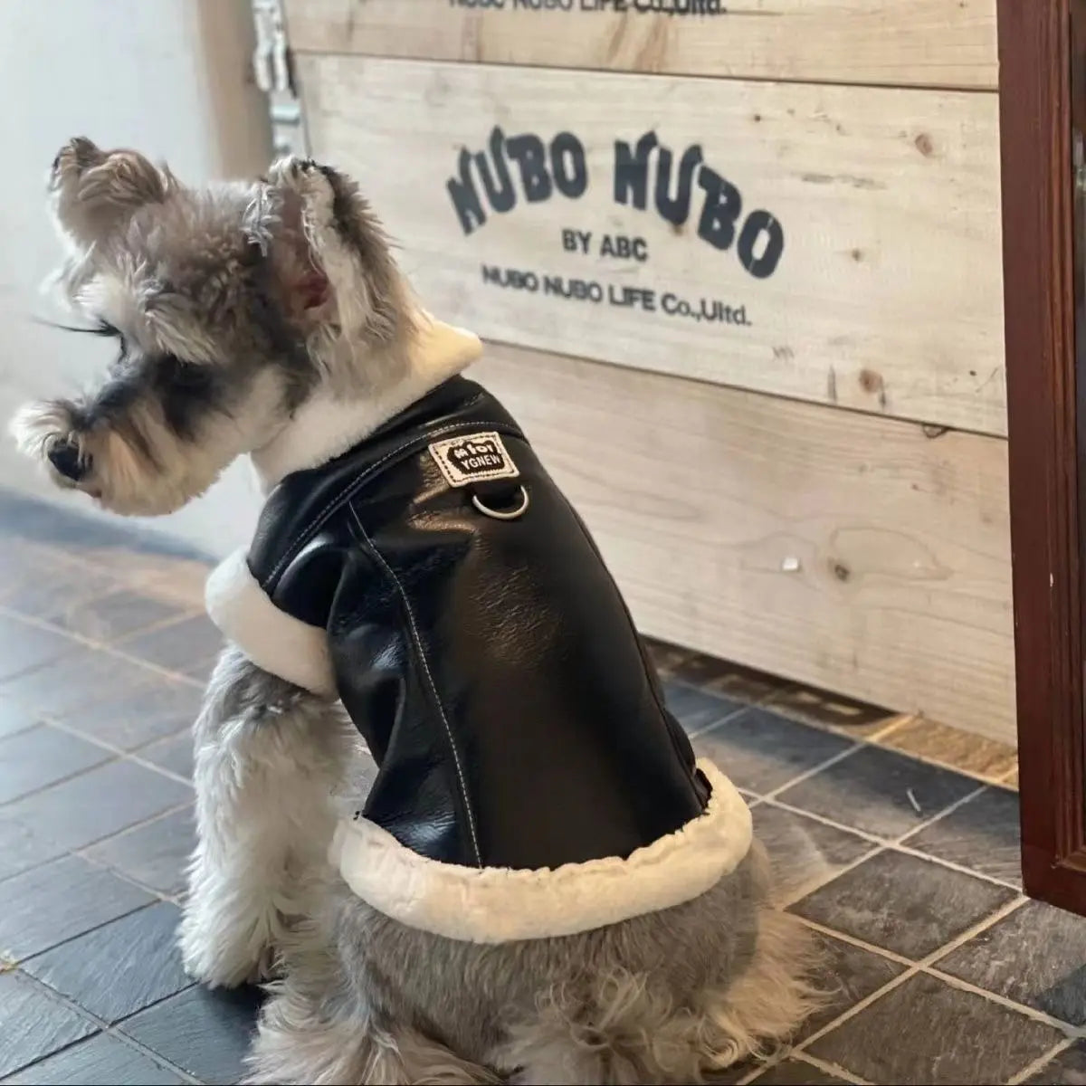 Winter Padded Dog Vest Coat With Traction Buckle For Dogs