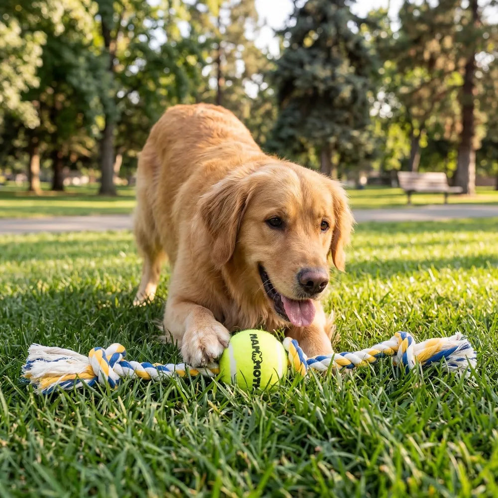 5 Knot Tug Rope Dog Toy For Aggressive Chewers Durable