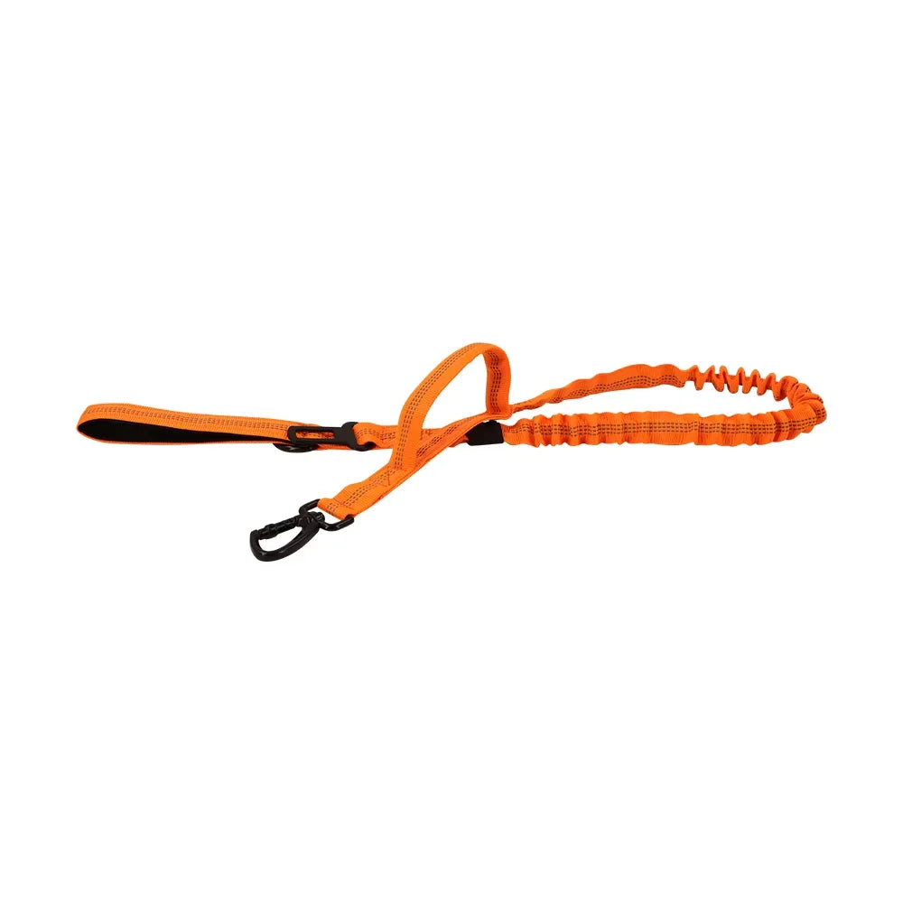 Adjustable Elastic Dog Leash With Quick Release And Dual Handles