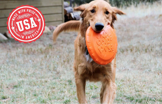 SP Bottle Top Flyer Durable Rubber Retrieving Frisbee