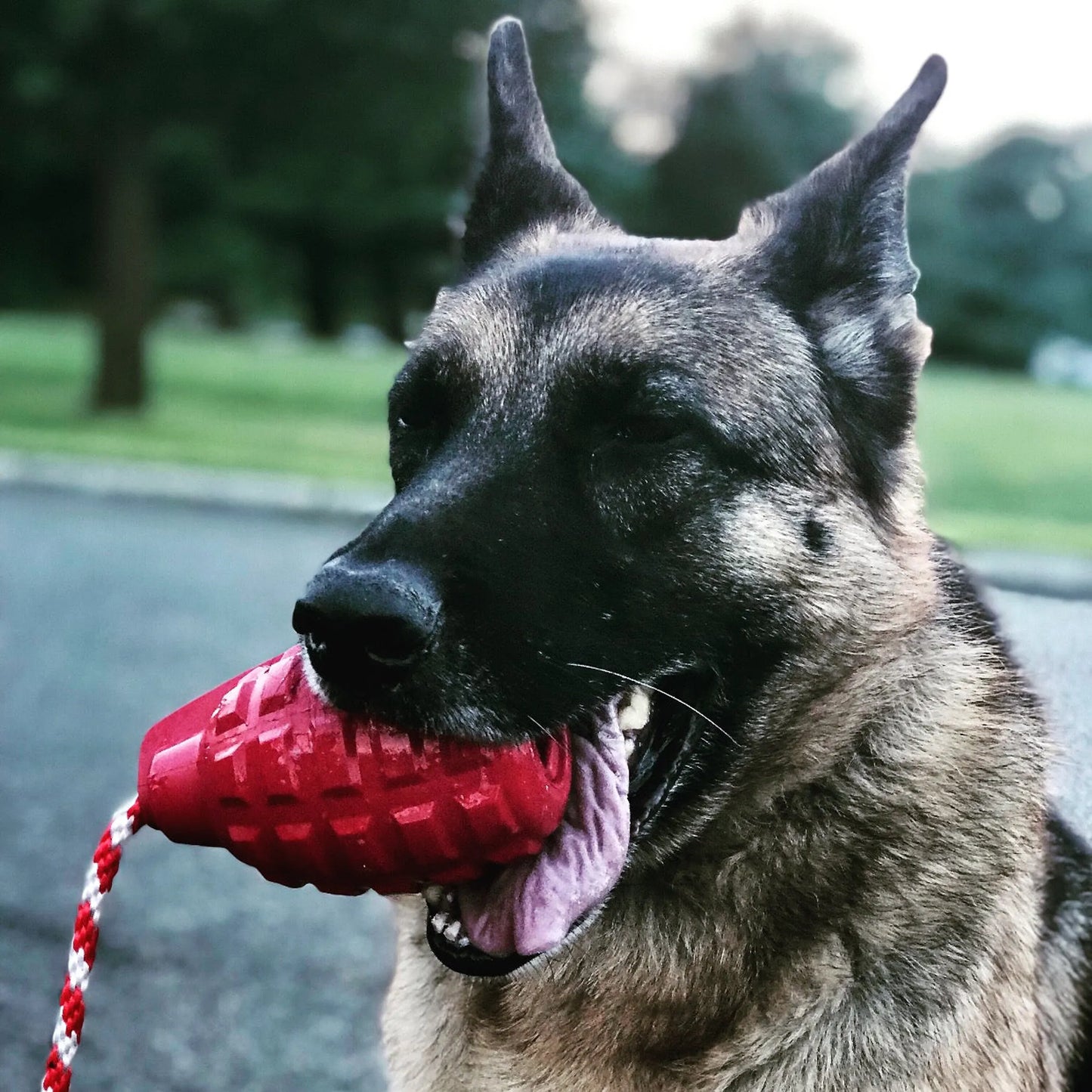 USA-K9 Grenade Shaped Rubber Dog Toy - Chew, Treat Dispenser & Tug Toy