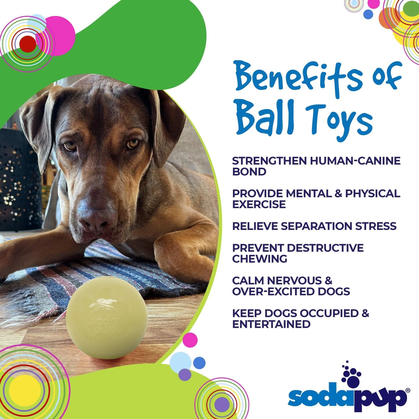 Squeak Ball - Durable Squeaky Dog Toy, Floats, Chew Toy
