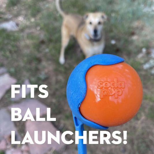 Squeak Ball - Durable Squeaky Dog Toy, Floats, Chew Toy
