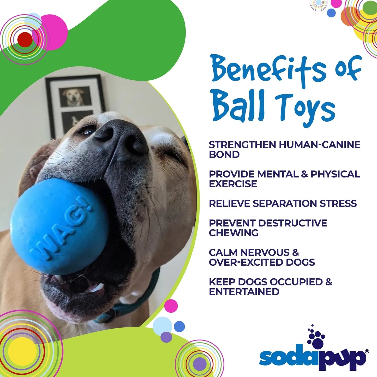 Wag Ball Ultra Durable Synthetic Rubber Chew Toy