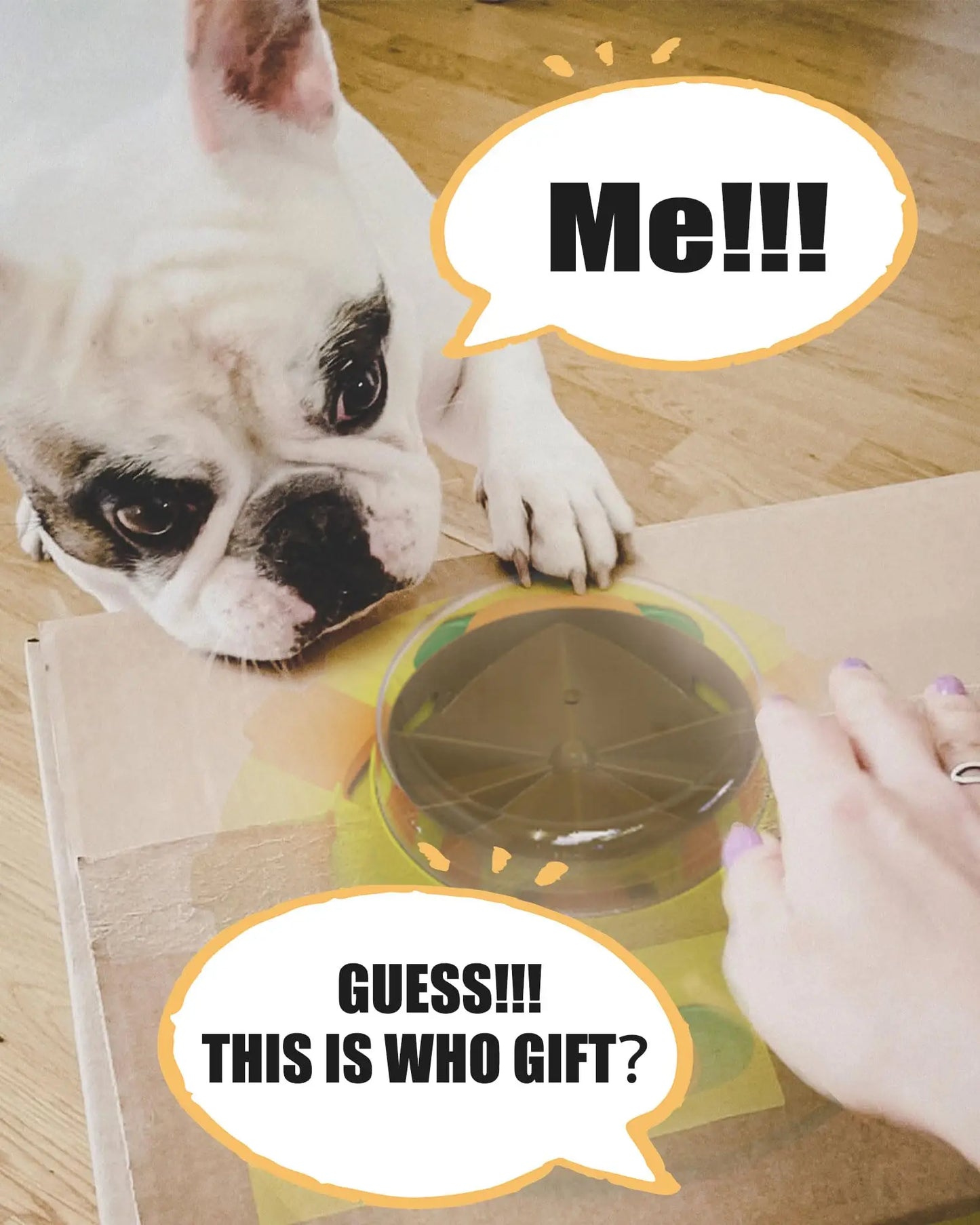 Dog Puzzle Toy Interactive Slow Feeder Dispenser For All Breeds