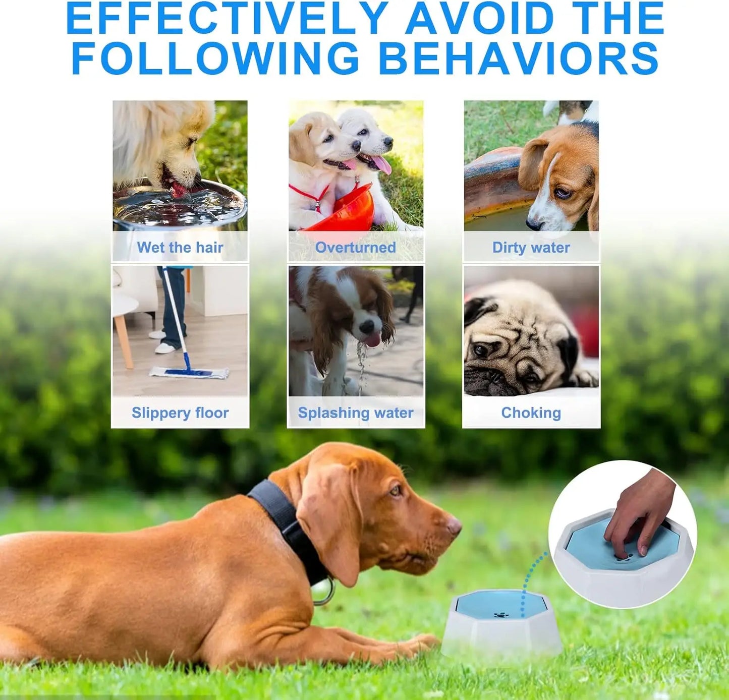 Dog Water Bowl Splash Free Pet Water Feeder For Travel