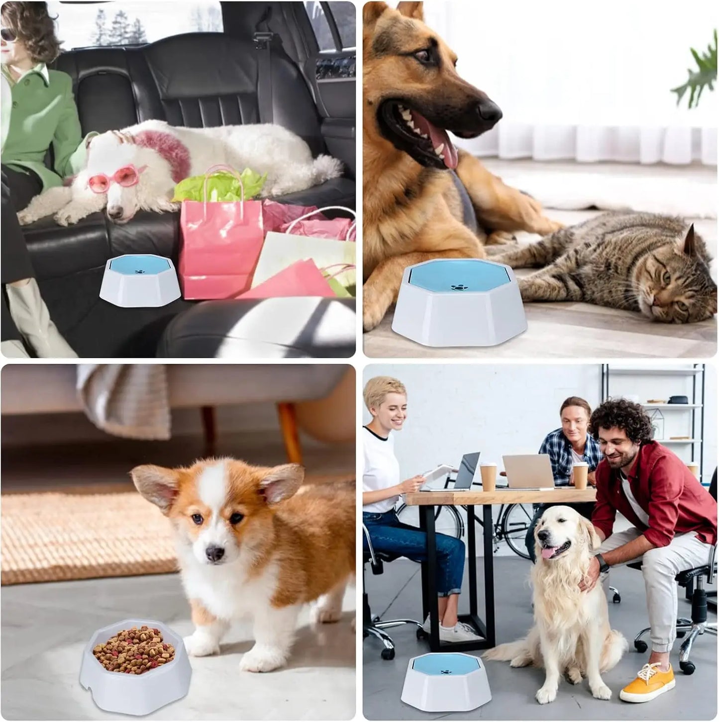 Dog Water Bowl Splash Free Pet Water Feeder For Travel