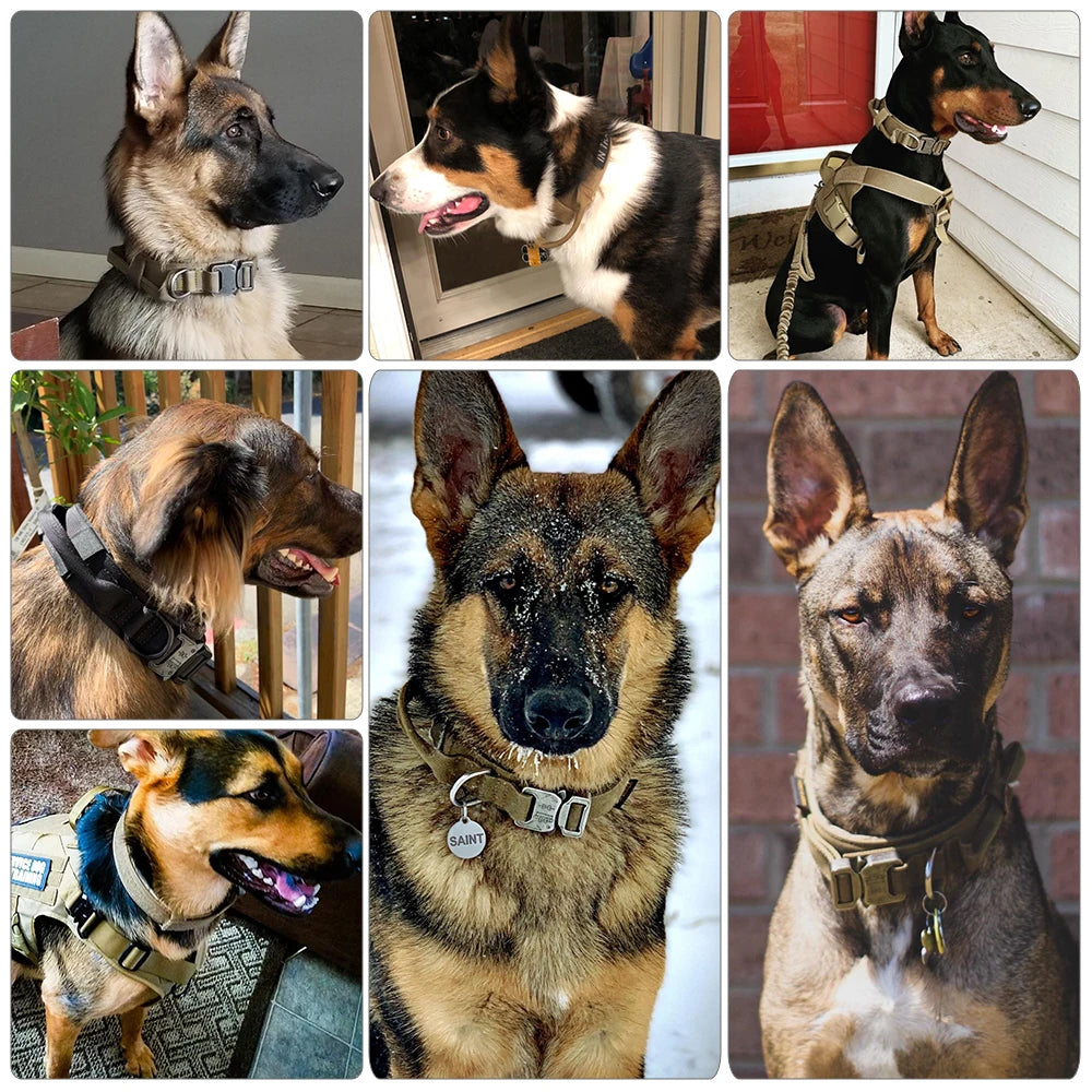 Petravel Dog Training Collar Military Leash With Adjustable Handle