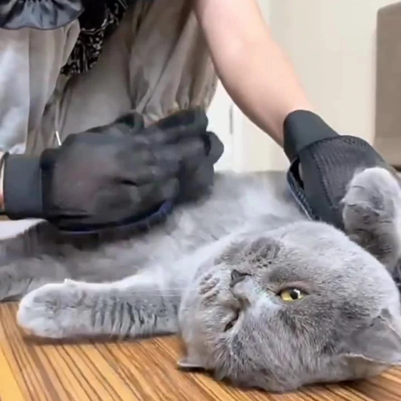 Pet Silicone Grooming Gloves Hair Remover for Cats and Dogs