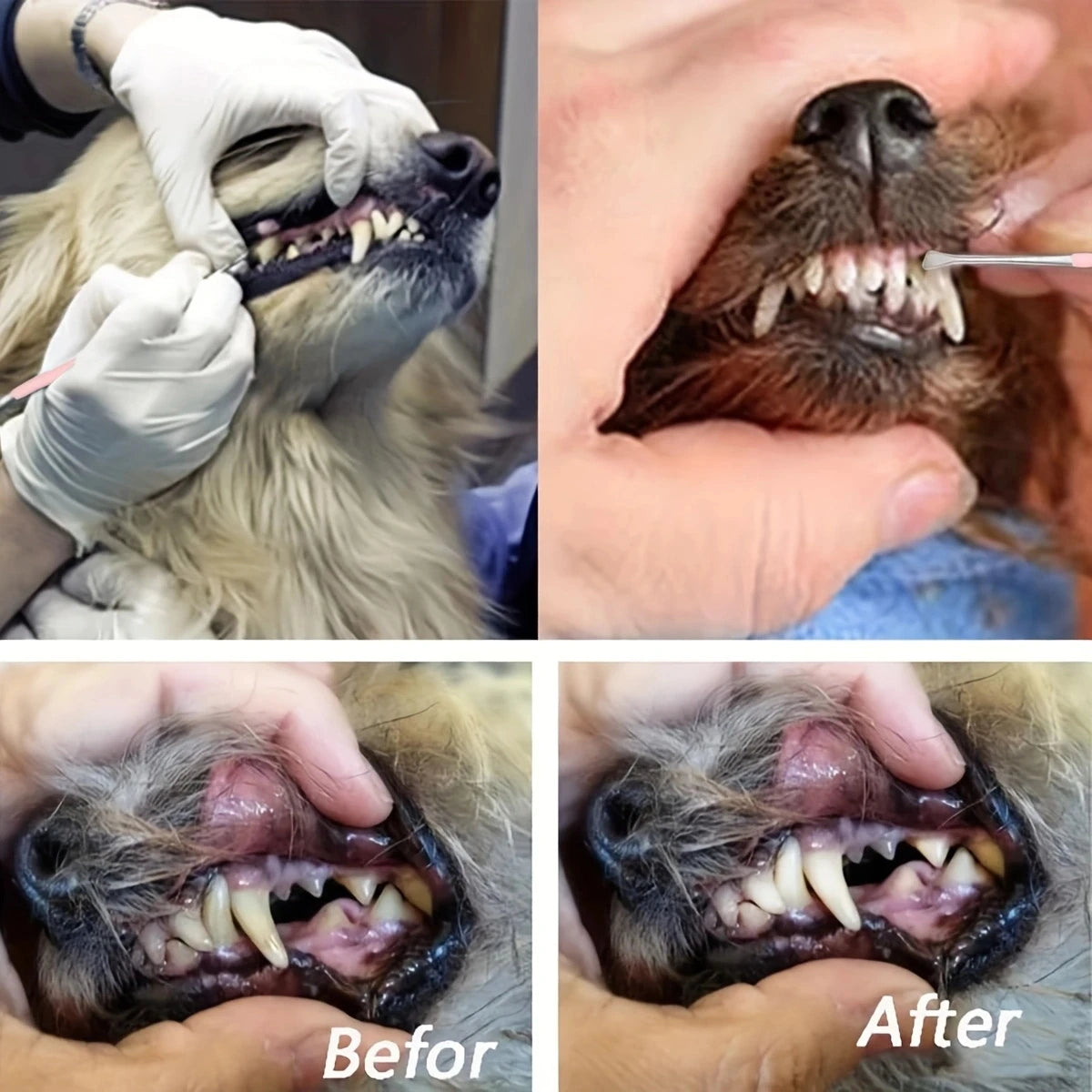 Pet Dog Tooth Cleaner Stainless Steel Tartar Remover Double Headed Scraper Kit