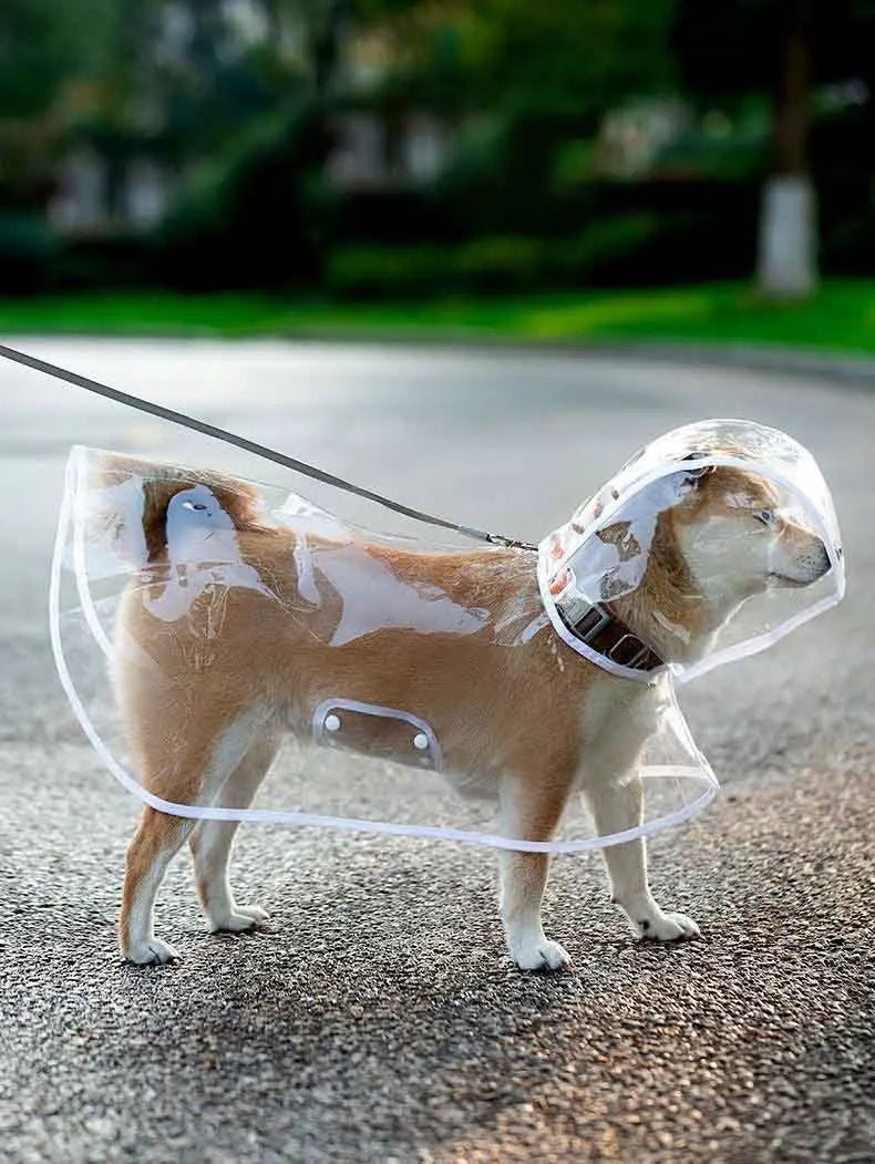 Transparent Waterproof Pet Raincoat With Hat For Dogs