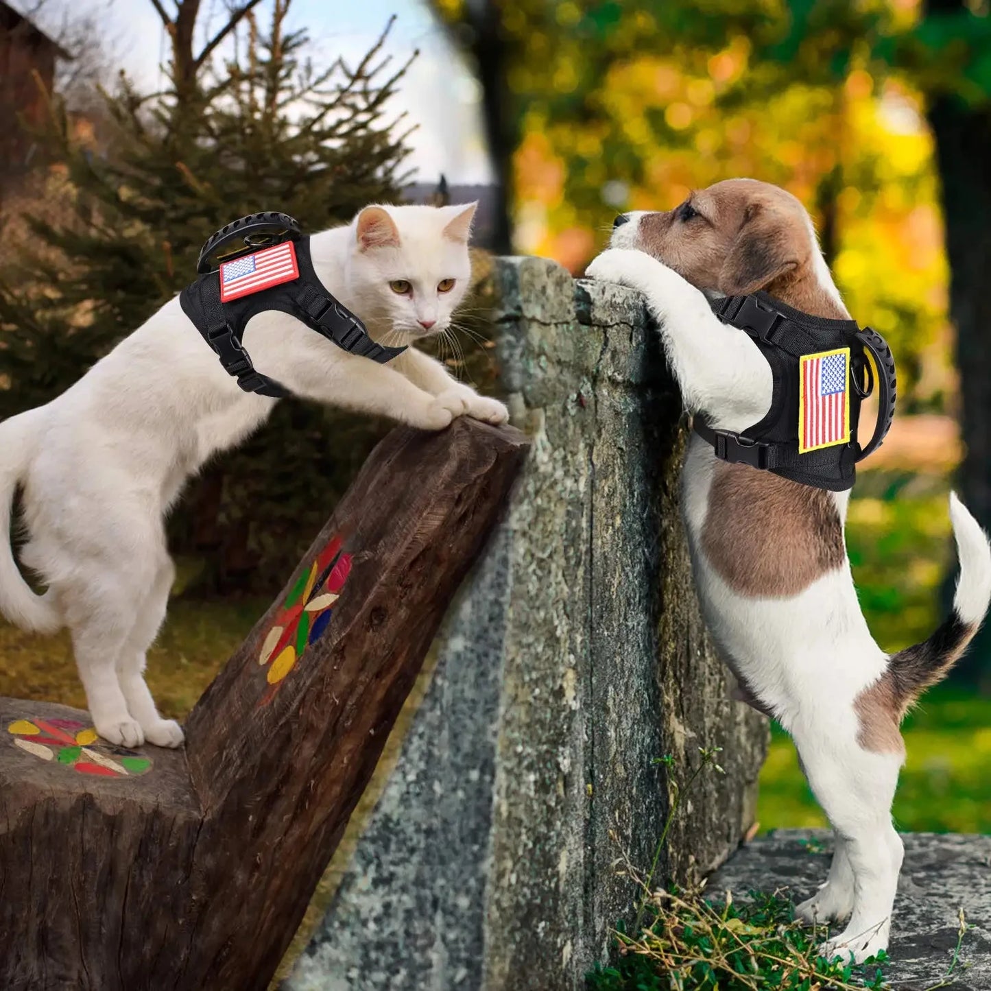 Puppy Harness Leash Set For Small Dogs And Cats