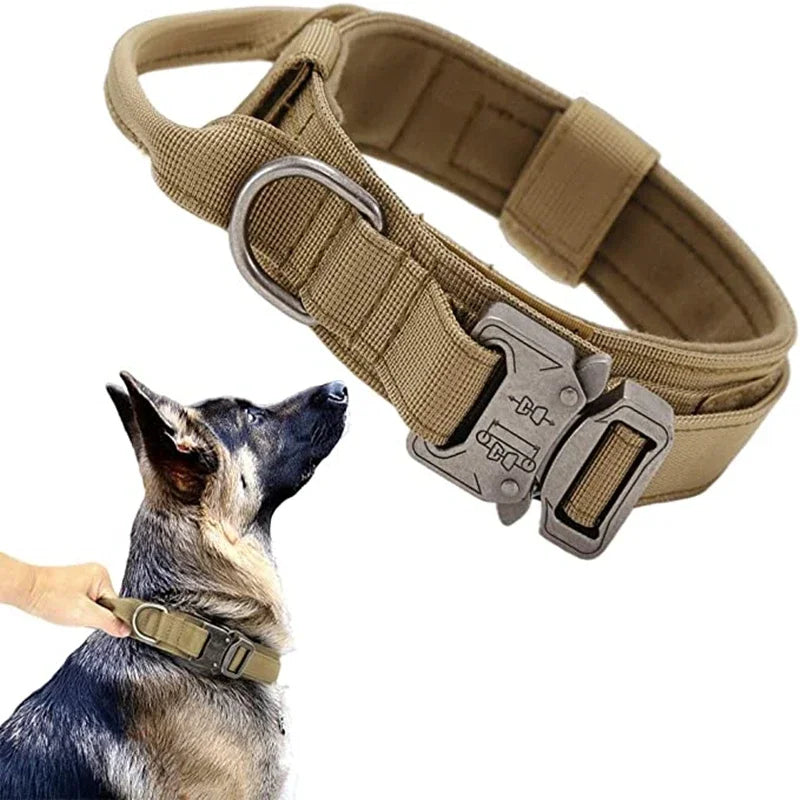 Cooyomoo Durable Dog Collar Leash Set Training Accessories