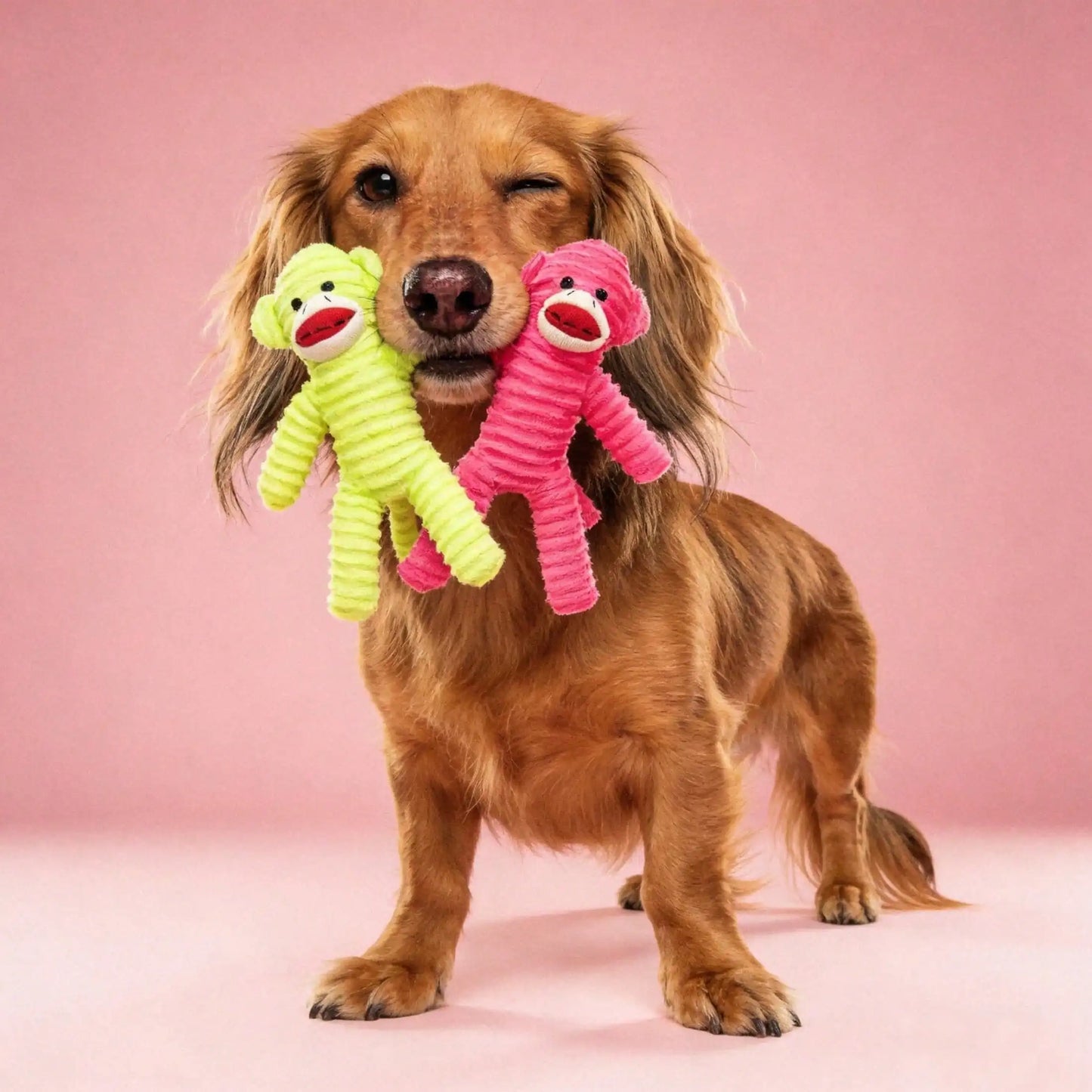 Armadillo Squeaky Plush Dog Chew Toy, Teeth Cleaning Play Toy for All Dog Breeds