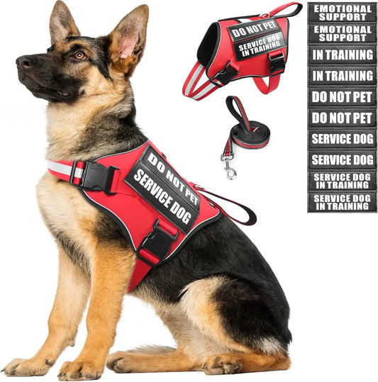 Adjustable No-Pull Dog Harness with Leash & Patches, Reflective Padded Handle for Training, Fits Small to XL Dogs in Red