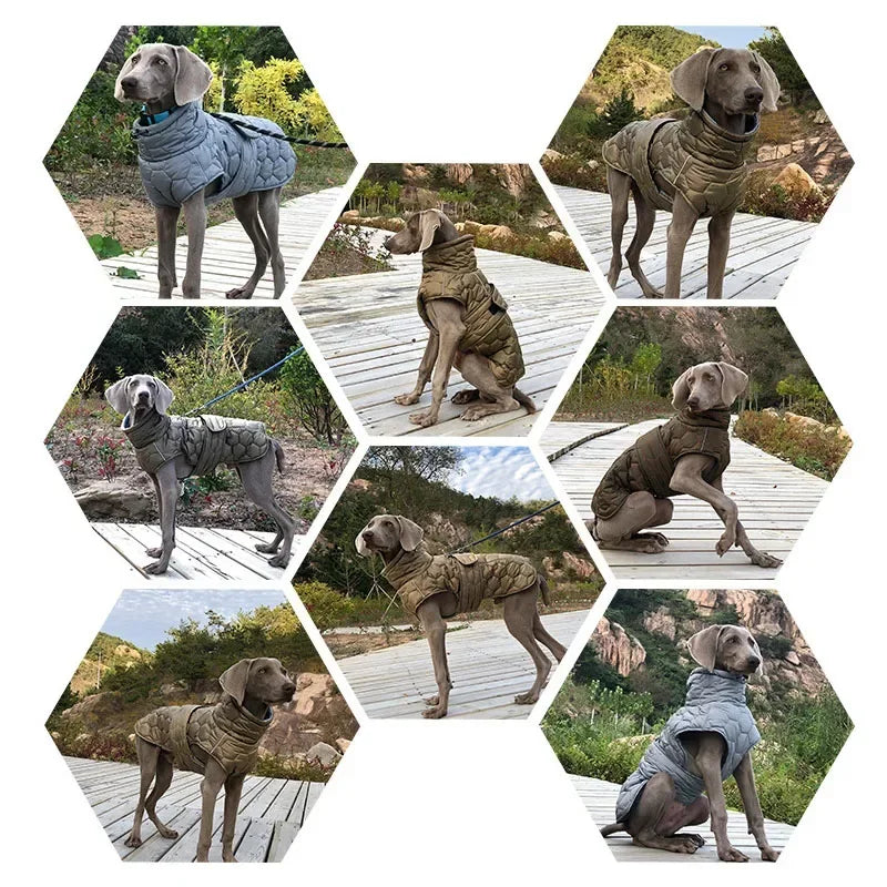 Winter Warm Dog Coat Reflective Snowsuit For Outdoor Use