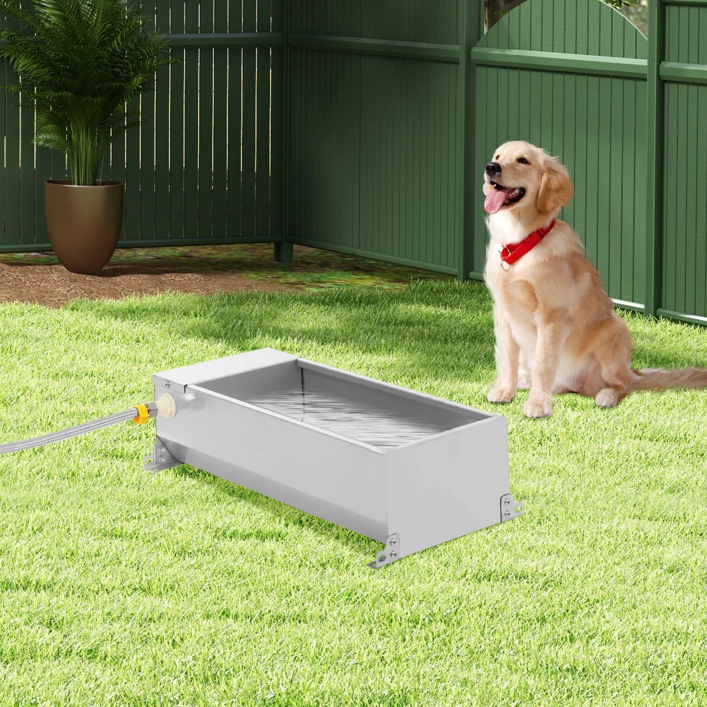Automatic Livestock Waterer With Float Valve Large Capacity Dog Waterer