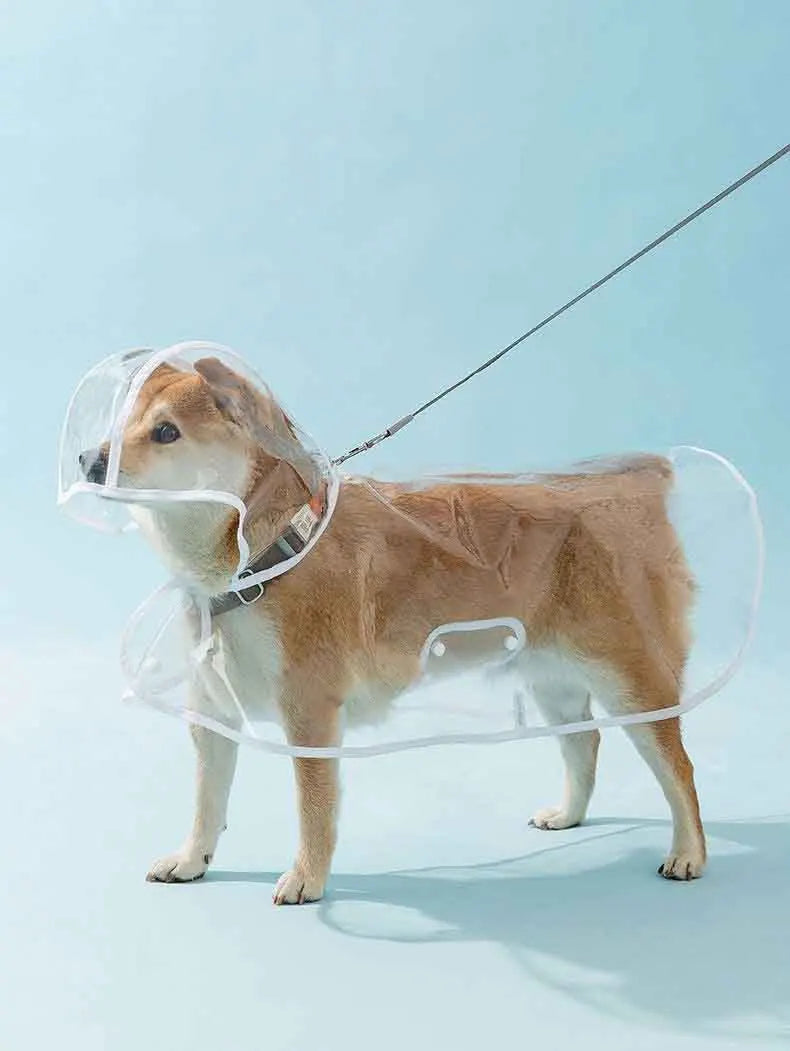 Transparent Waterproof Pet Raincoat With Hat For Dogs