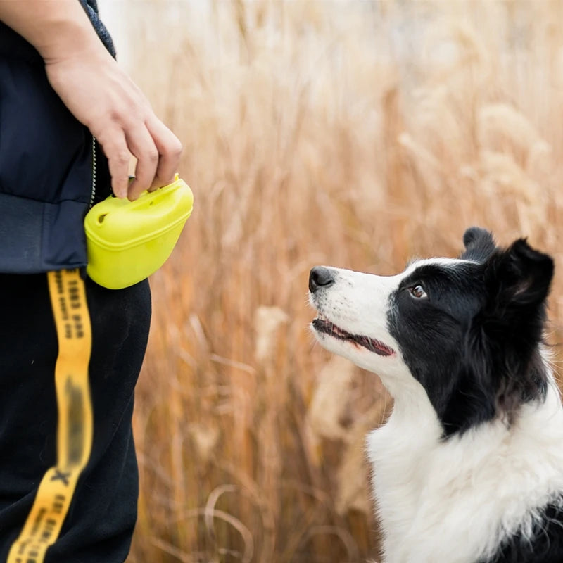 Dog Treat Pouch Waist Bag for Training Outdoors Portable