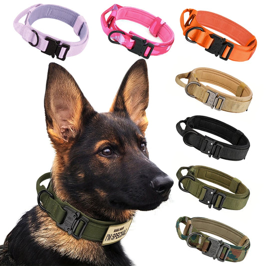 Adjustable Dog Training Collar And Leash Set Control Handle