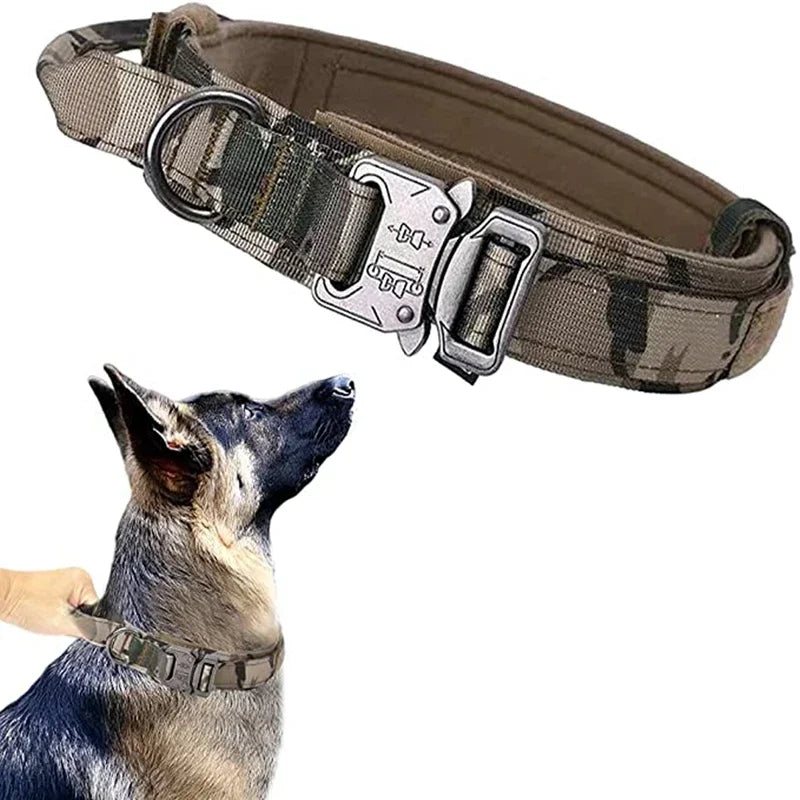 Cooyomoo Durable Dog Collar Leash Set Training Accessories