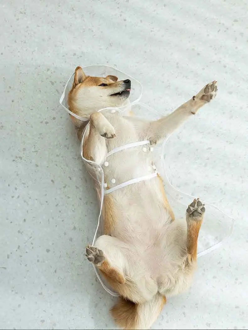 Transparent Waterproof Pet Raincoat With Hat For Dogs