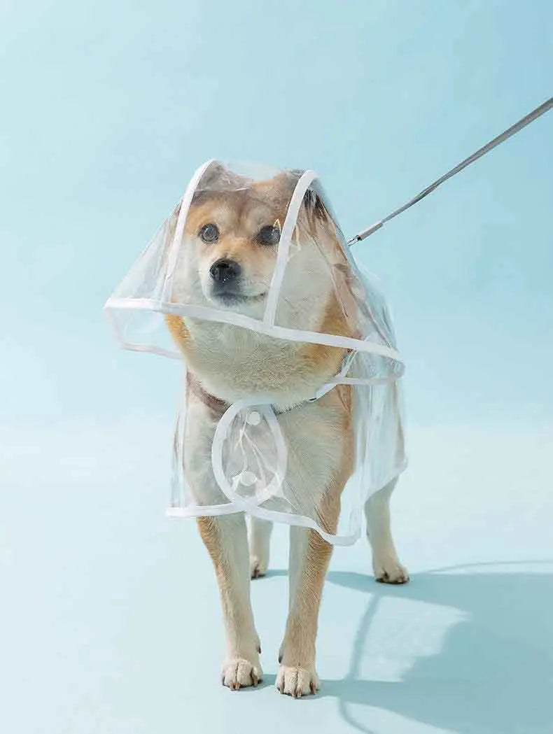 Transparent Waterproof Pet Raincoat With Hat For Dogs