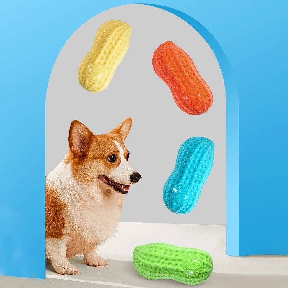 Pet Peanut Toy TPR Chew Toy For Dogs Interactive Squeak