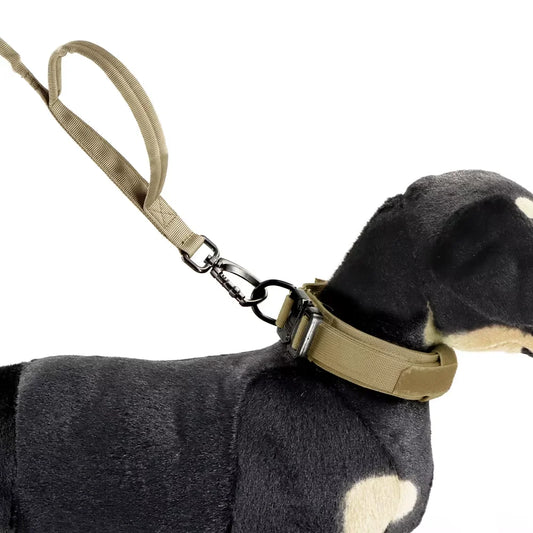 Adjustable Elastic Dog Leash With Quick Release And Dual Handles