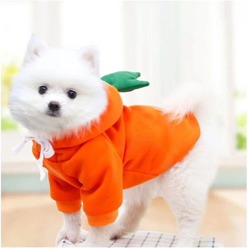Wangmeow Cute Fruit Dog Hoodie Warm Fleece Puppy Jacket