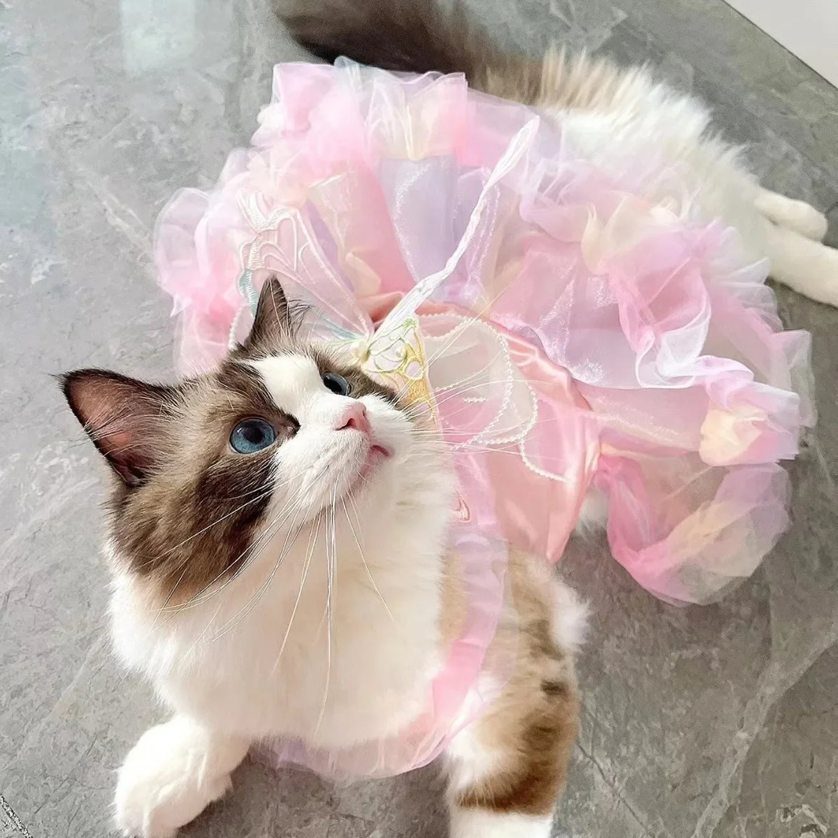 Lace Princess Silk Pet Dress For Dogs
