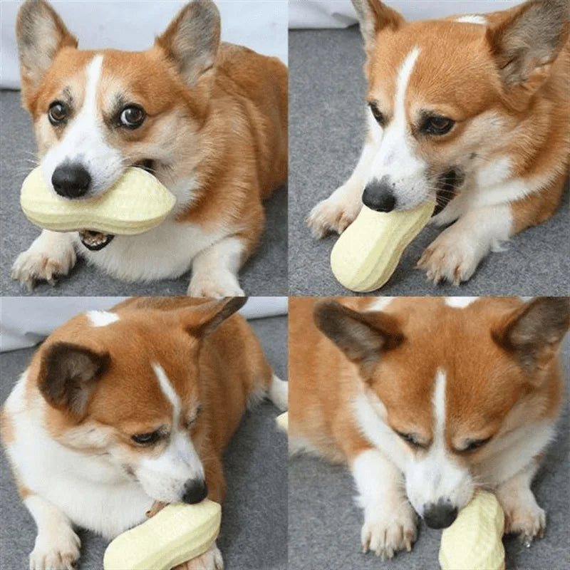 Pet Peanut Toy TPR Chew Toy For Dogs Interactive Squeak
