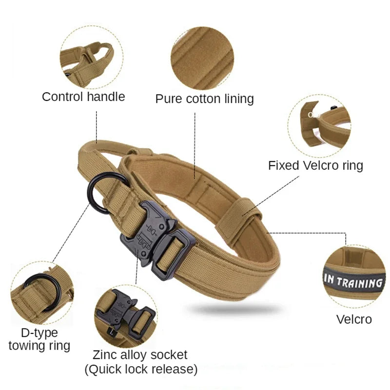 Cooyomoo Durable Dog Collar Leash Set Training Accessories