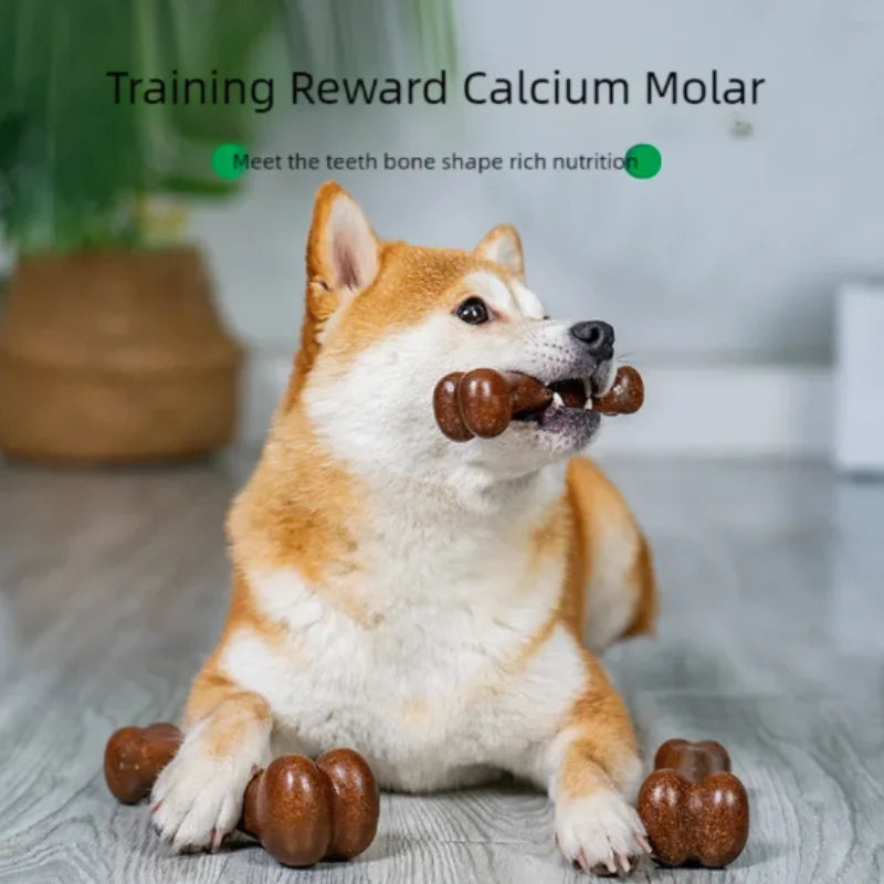 Durable Non Toxic Natural Wood Dog Bone Chew Toy