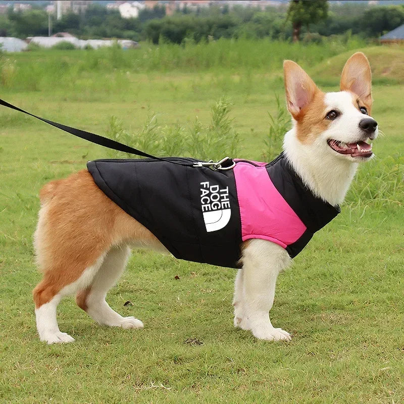 Waterproof Warm Dog Coat Padded Winter Jacket For Dogs