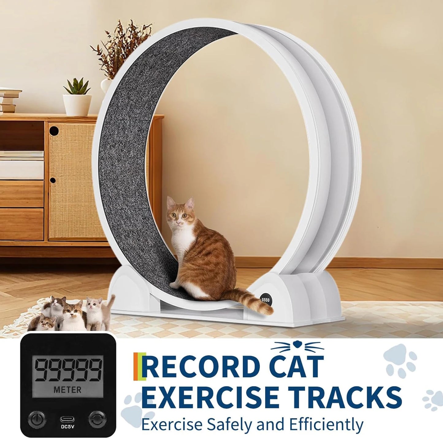 HiMISSCN Cat Exercise Wheel Indoor Quiet Treadmill With Pedometer