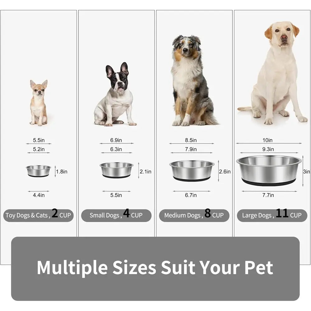 Durable Stainless Steel Dog Bowls Silicone Antislip Base Rust Resistant