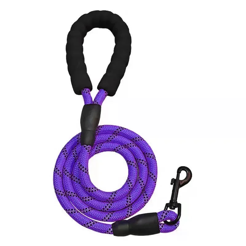Dog Collar Leash Set Adjustable AntiPull Nylon Outdoor Training