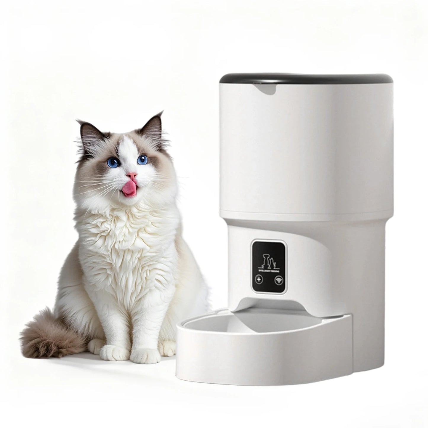 HiMISS Programmable 4L Automatic Pet Feeder 6 Meals For Cats And Small Dogs
