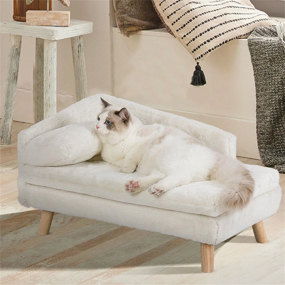 Borwart CN Luxury Elevated Dog Sofa Bed With Backrest
