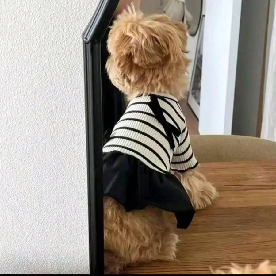 Small Dog Striped Casual Dress Lightweight Airy Fabric Pet Clothes