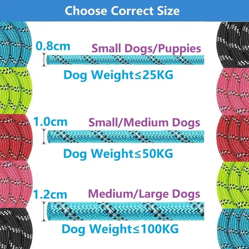 Dog Collar Leash Set Adjustable AntiPull Nylon Outdoor Training