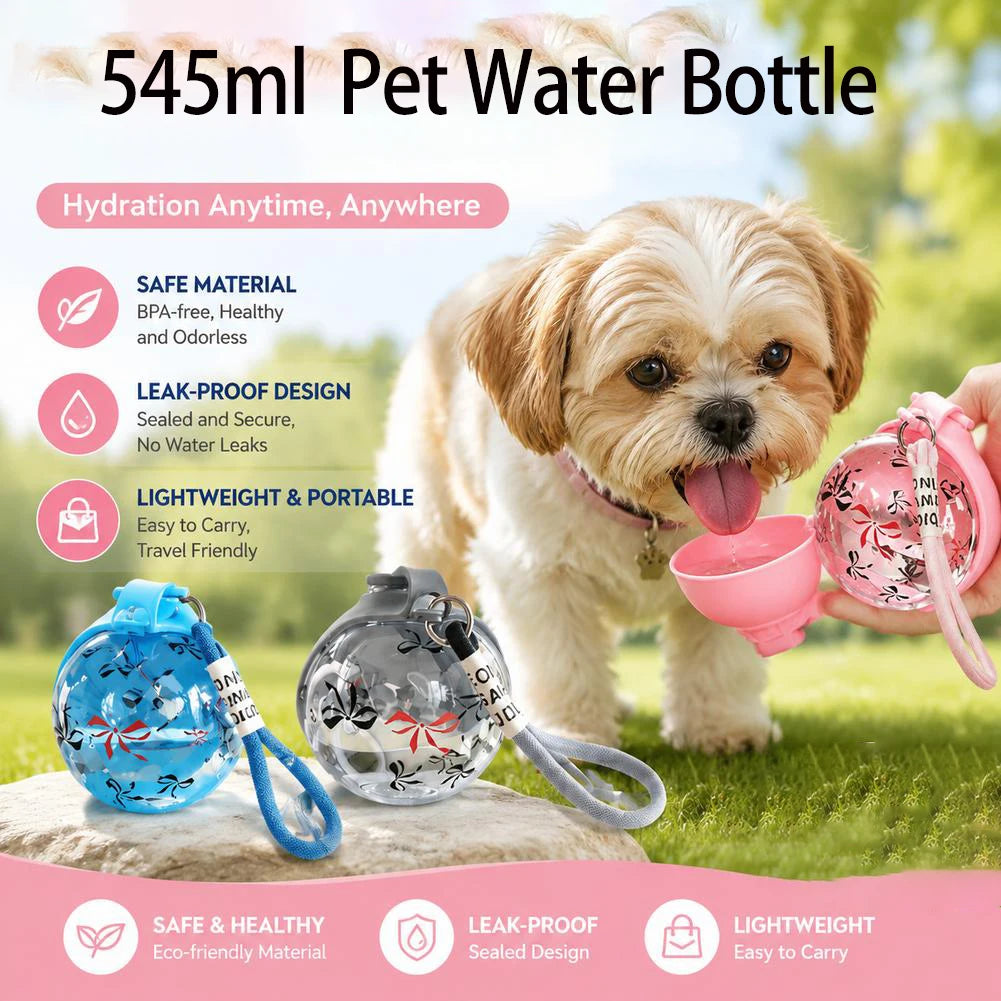 2 In 1 Portable Dog Water Bottle With Lanyard And Foldable Silicone Bowl