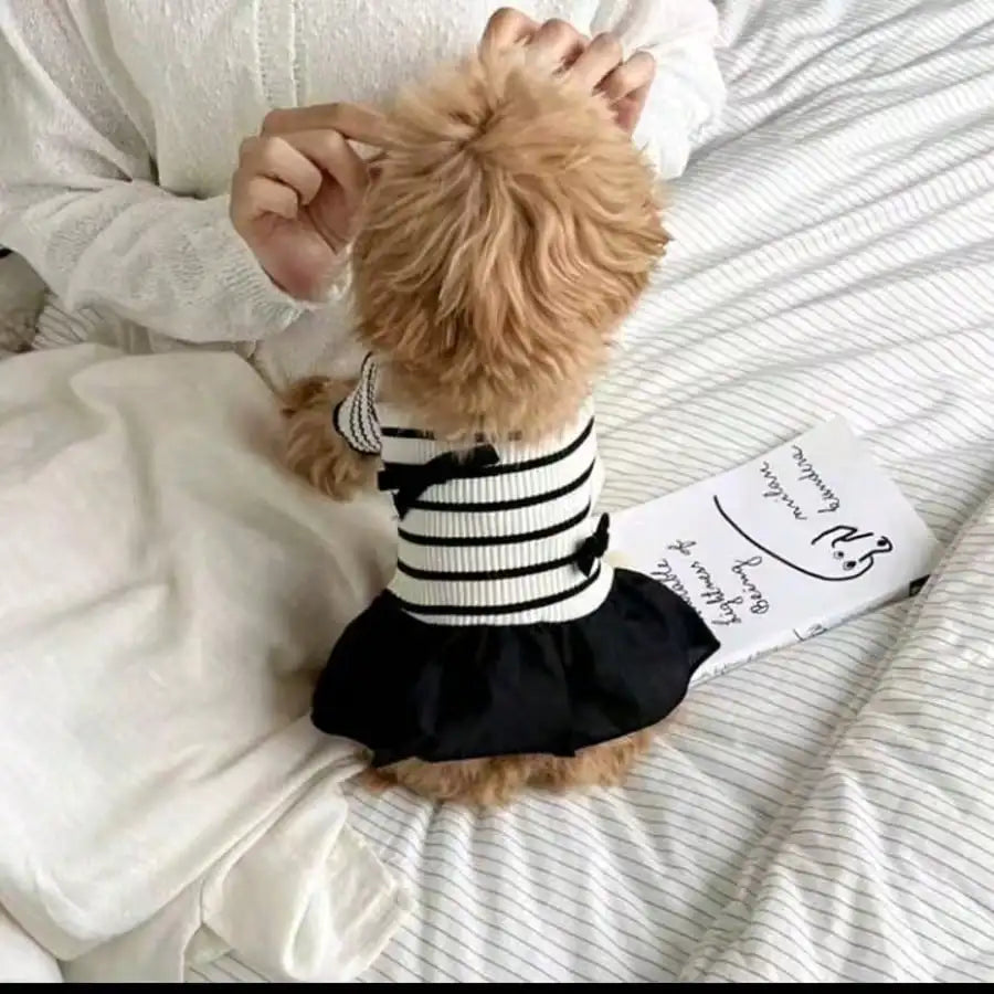 Small Dog Striped Casual Dress Lightweight Airy Fabric Pet Clothes