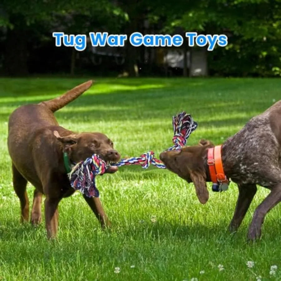 Heavy Duty Dog Rope Toys for Large Breed Aggressive Chewers, 2 Pack Indestructible Teeth Cleaning Tug of War Toy