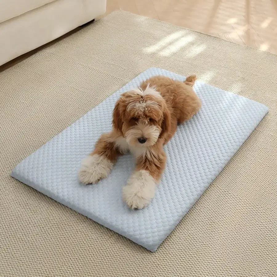 Cooling Cotton Cat Bed With Thick Padding Breathable Non Slip Washable